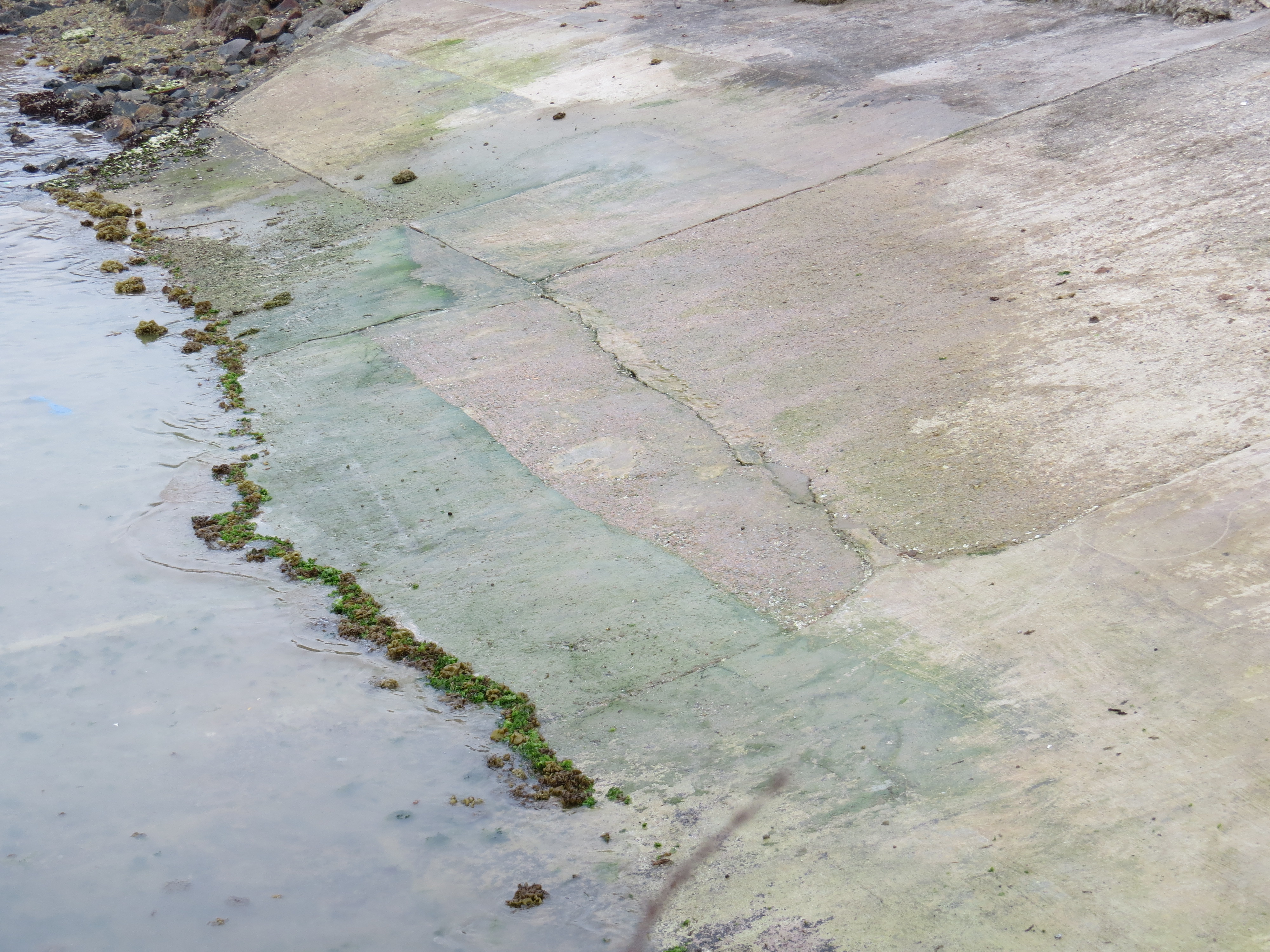 Tidal slipway being treated with Clearway - Clearway